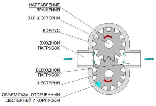 photo 3.jpg