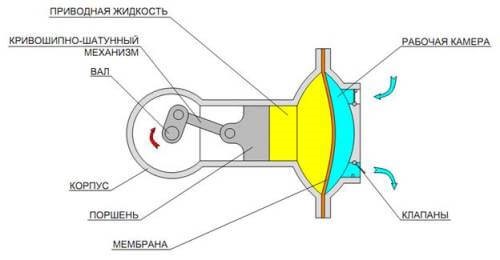 photo 5.jpg
