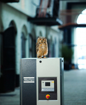 Винтовой компрессор GA 15 VSD фото